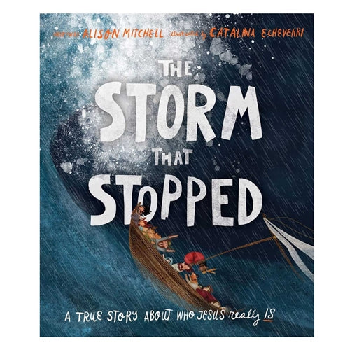 Kids Book -The Storm That Stopped - Tales That Tell the Truth Book 10 (Hardcover)