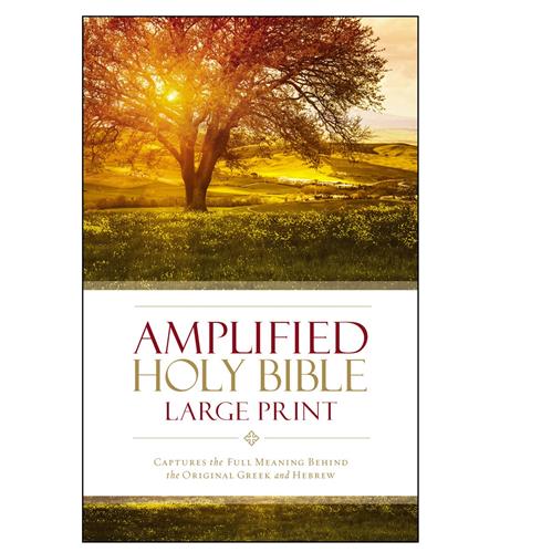 Bible -The Amplified Large Print