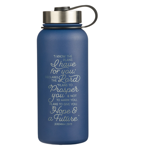 Stainless Steel Bottle - I Know The Plans (Blue)