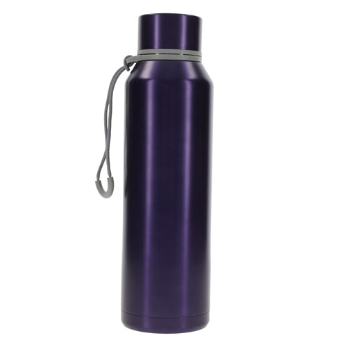 Stainless Steel Water Bottle - Under His Wings You Will Find Refuge Purple