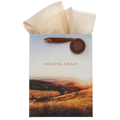 Gift Bag with Gift Tag -Amazing Grace Crown of Thorns Portrait