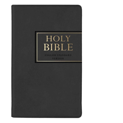 Bible -ESV Black Frame Faux Leather Standard Bible