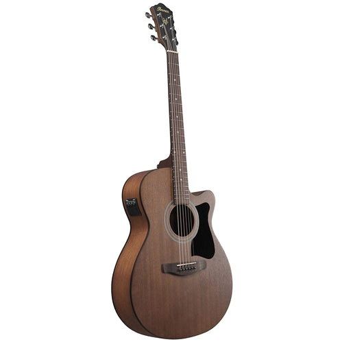 Ibanez Acoustic Guitar Open Pore Natural