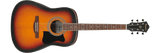 Ibanez Acoustic Guitar incl. Gig Bag, Turner, Strap, Picks Package