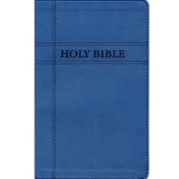 NIV Premium Gift Bible (Navy)