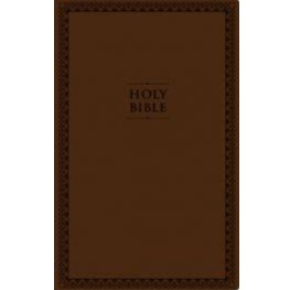 NIV Value Thinline Large Print Bible (Brown)