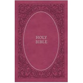 NIV Soft Touch Edition Bible (Pink)