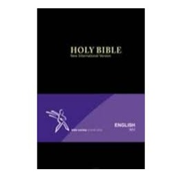 NIV Medium Bible (Black)