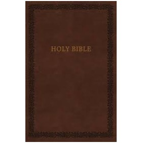 KJV Soft Touch Edition Bible (Brown)