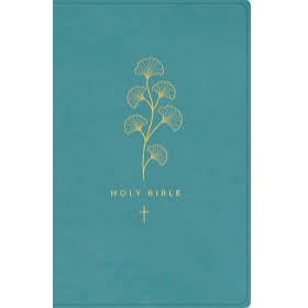 NLT Premium Gift Bible (Teal)