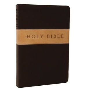 NLT Premium Gift Bible (Dark Brown/Tan)
