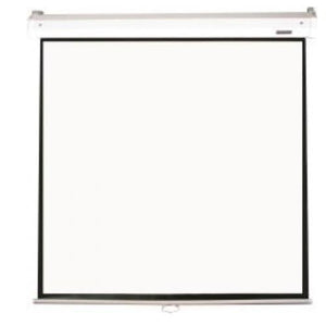 Projector Screen - Parrot  Electric Screen 2440*1420mm (View 2340*1320mm )