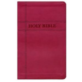 NIV Premium Gift Bible (Burgundy)