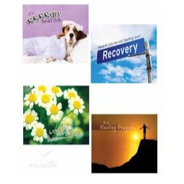 Card - Get Well Wishes (Assorted)