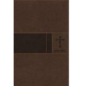 NIV Premium Gift Bible (Brown)