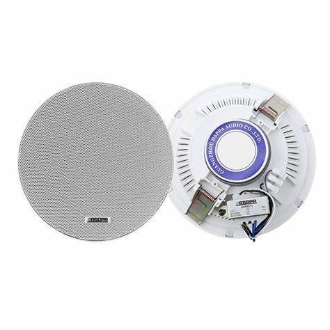 DSPPA 6011 Frameless Ceiling Speaker 6W 6.5