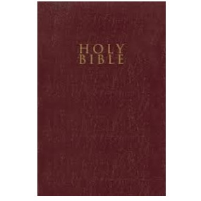 NIV Gift and Award Bible (Burgundy)