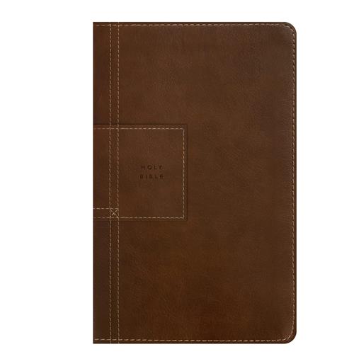 Bible  -NLT Filament Thinline Reference Bible, Rustic Brown with Zip (Imitation Leather)