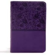 CSB Large Print Compact Reference Bible (Purple)