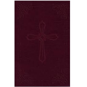 NIV Compact Bible w/ Cross (Burgundy)