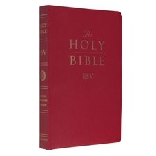 ESV Gift & Award Bible (Burgundy)