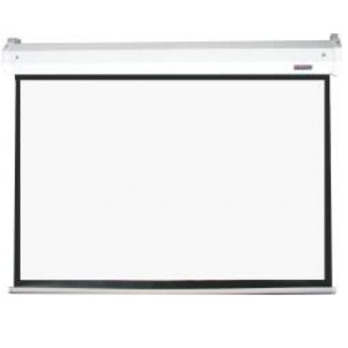 Parrot Pulldown Projector Screen (2440*1850mm)