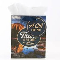 Gift Bag - Trust in the Lord Proverbs 3v5 (Extra Small)