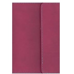 KJV Large Print Compact Reference Bible (Berry)