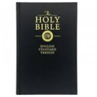 ESV Medium Size Bible (Black)