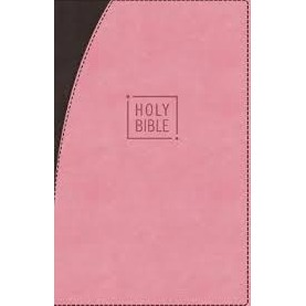 NIV Premium Gift Bible (Pink/Brown)