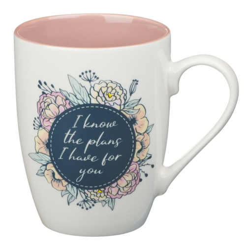 Ceramic Mug - I Know The Plans (Pink)