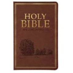NLT Standard Indexed Bible (Brown)