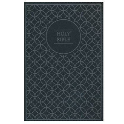 NIV Value Thinline Large Print Bible (Gray/Black)