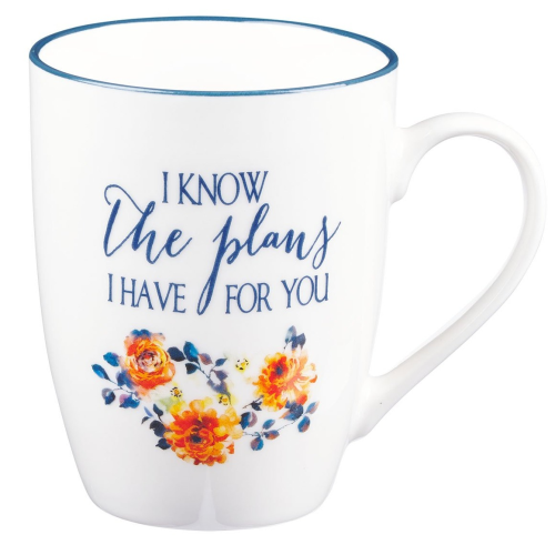 Ceramic Mug - I Know The Plans