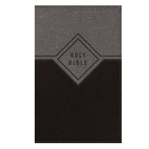 NIV Premium Gift Bible (Black & Gray)