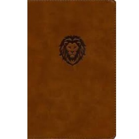 NKJV Thinline Youth Edition Bible (Brown)