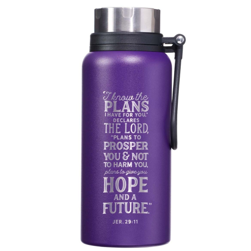 Stainless Steel Bottle - I Know The Plans (Purple)